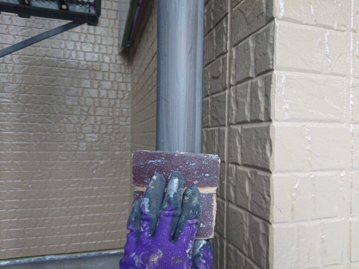 雨樋目荒らし作業