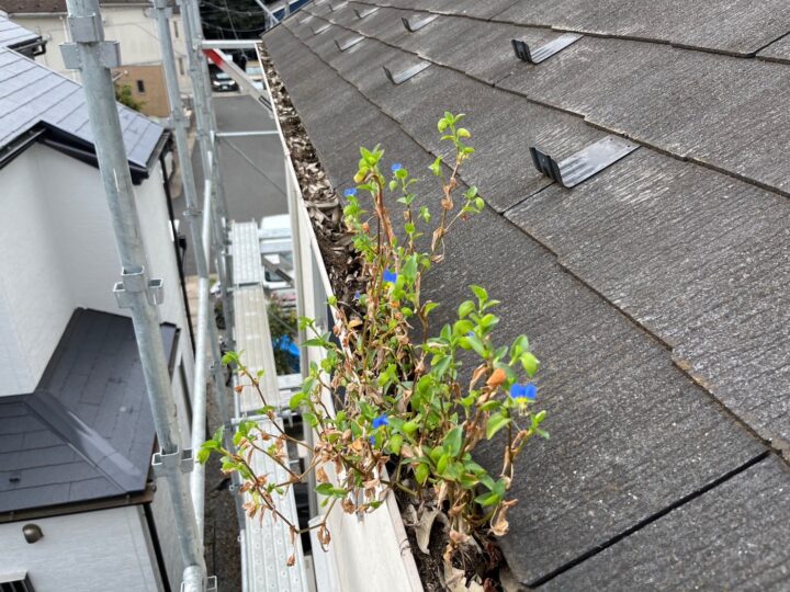 雨樋内部高圧洗浄施工前
